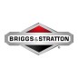 Dado motore trattorino tagliaerba ORIGINALE BRIGGS & STRATTON 015X79MA