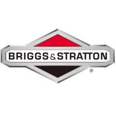 Mutter Rasentraktor Rasenmäher Mähmaschine ORIGINAL BRIGGS & STRATTON 1960686SM | NewgardenParts.com