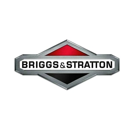 Deflettore marmitta ORIGINALE BRIGGS & STRATTON 591711 | NewgardenParts.com