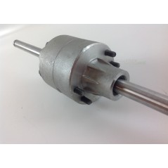 Twin Cut Rasentraktor Differential erste Serie GGP CASTELGARDEN 444448