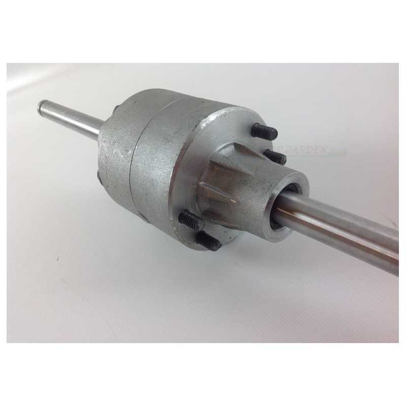 Twin Cut Rasentraktor Differential erste Serie GGP CASTELGARDEN 444448