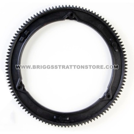 Anello originale Briggs & Stratton 492007 | NewgardenParts.com