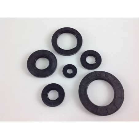 Original BRIGGS & STRATTON Ring 690736 | NewgardenParts.com