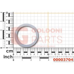 Anello parapolvere ORIGINALE GOLDONI 00003704 | NewgardenParts.com