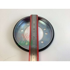 Clutch disc mower GIANNI FERRARI PLAY GREEN modification | NewgardenParts.com