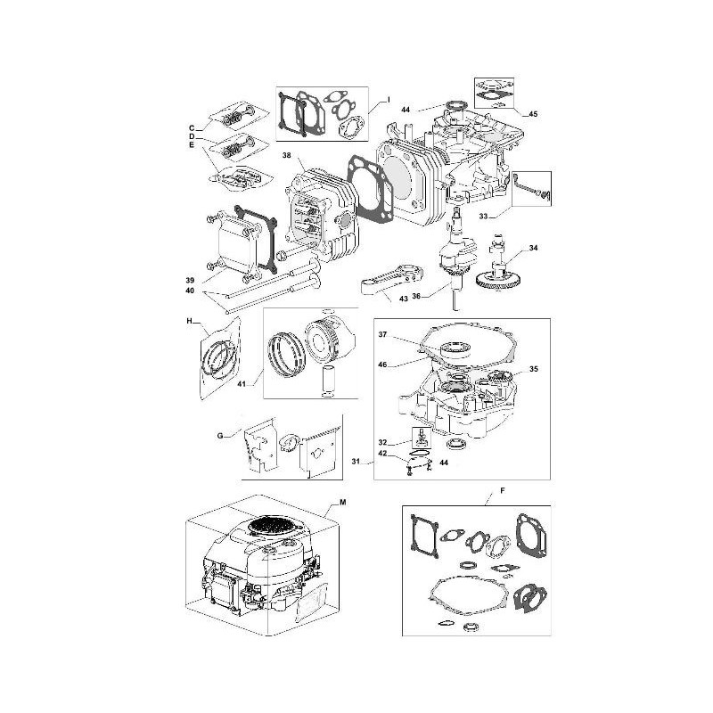 Exploded view engine cutaway three series lawn tractor CASTELGARDEN TRE 701 GGP