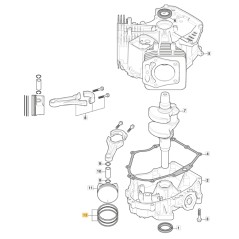 Fasce elastiche segmenti pistone ORIGINALE STIGA motore TRE586V 118551630/0 | NewgardenParts.com