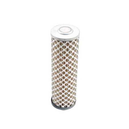 Luftfilter Rasentraktor kompatibel TECUMSEH OVM120 - TVM170 - TVM220 | NewgardenParts.com