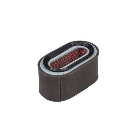Luftfilter 147 x 75 x 73 mm Rasentraktor-kompatibel ROBIN 231-32601-07 | NewgardenParts.com