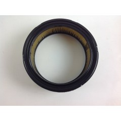 Filtro aria 180 x 140 x 56 mm motore rasaerba B&S 294440 - 294442 | NewgardenParts.com