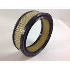 Filtro aria 180 x 140 x 56 mm motore rasaerba B&S 294440 - 294442 | NewgardenParts.com