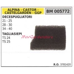 Filtro aria ALPINA motore decespugliatore 21 25 28 30 34 40 005772 | NewgardenParts.com