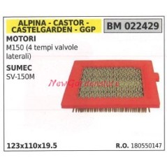 Filtro aria ALPINA motore sumec SV-150M 022429 | NewgardenParts.com