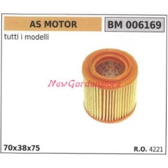 Filtro aria AS MOTOR motore rasaerba tosaerba tagliaerba 006169 | NewgardenParts.com