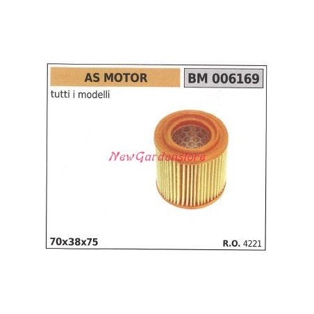 Filtro aria AS MOTOR motore rasaerba tosaerba tagliaerba 006169 | NewgardenParts.com