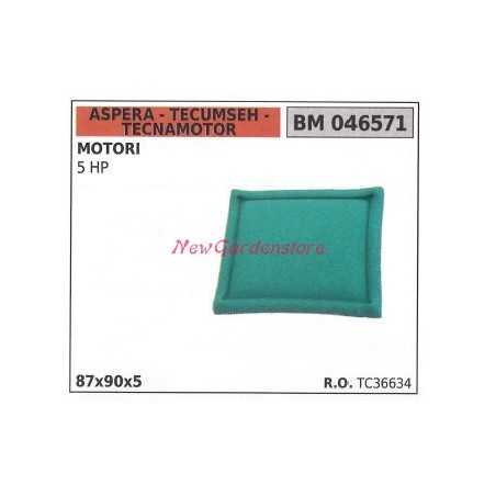 Filtre à air ASPERA moteur tondeuse 5 HP 046571 | NewgardenParts.com