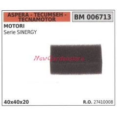 Filtro aria ASPERA motore rasaerba tosaerba tagliaerba sinergy 006713