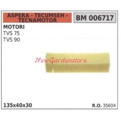 ASPERA Luftfilter für Rasenmähermotor TVS 75-90 006717 | NewgardenParts.com