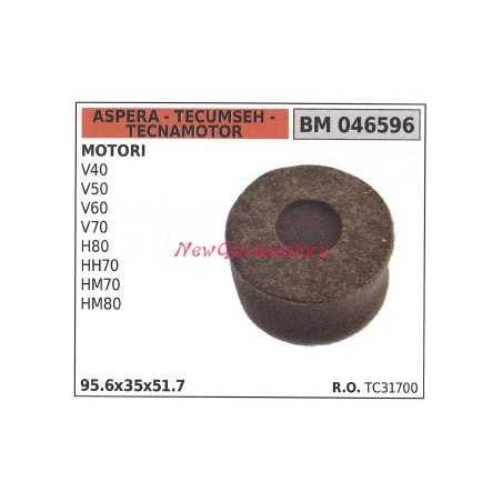 Luftfilter ASPERA Rasenmähermotor Rasenmäher V 40 50 60 70 046596 | NewgardenParts.com