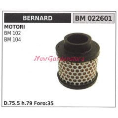 Filtre à air BERNARD pour moteur de tondeuse à gazon BM 102 104 022601