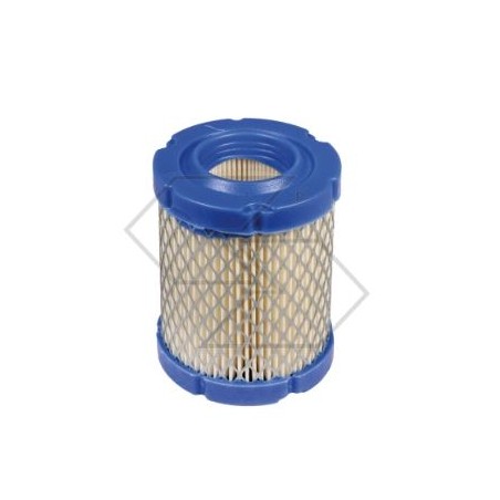 Filtro aria BRIGGS & STRATTON per tagliaerba rasaerba INTEK 796032 | NewgardenParts.com