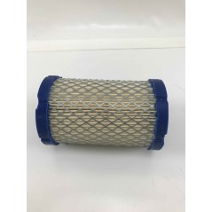 Filtro aria BRIGGS&STRATTON per motore trattorino rasaerba SERIE31C700 31P677 590825 | NewgardenParts.com