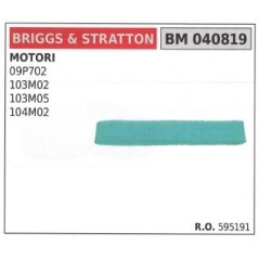 Filtro aria BRIGGS&STRATTON per rasaerba tosaerba tagliaerba 103M02 104M02 | NewgardenParts.com