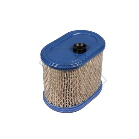 Filtro aria BRIGGS&STRATTON per tagliaerba rasaerba intek v-twin 6.75 hp | NewgardenParts.com