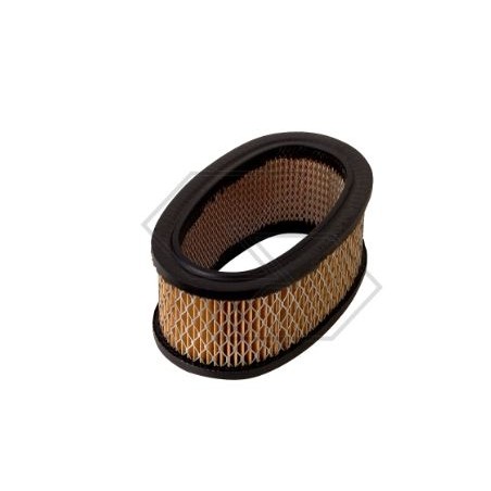 Filtro aria BRIGGS&STRATTON per trattorino rasaerba 8 HP verticale | NewgardenParts.com