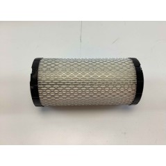 Filtro aria BRIGGS&STRATTON per trattorino tagliaerba rasaerba serie 430447 | NewgardenParts.com