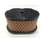 BRIGGS&STRATTON lawn mower mower air filter 5HP QUANTUM