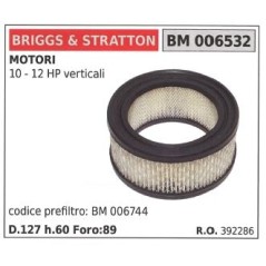 Filtro aria BRIGGS&STRATTON rasaerba tosaerba tagliaerba 10 12 HP VERTICALE | NewgardenParts.com