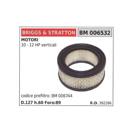 Filtro aria BRIGGS&STRATTON rasaerba tosaerba tagliaerba 10 12 HP VERTICALE | NewgardenParts.com