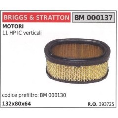 Air filter BRIGGS&STRATTON lawn mower mower 11 HP IC vertical