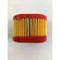 Filtro aria BRIGGS STRATTON rasaerba tosaerba tagliaerba 3.5 4HP 790166 698867