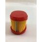 Filtro aria BRIGGS STRATTON rasaerba tosaerba tagliaerba 3.5 4HP 790166 698867