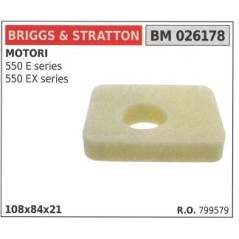 Filtro aria BRIGGS&STRATTON rasaerba tosaerba tagliaerba 550 e ex series | NewgardenParts.com