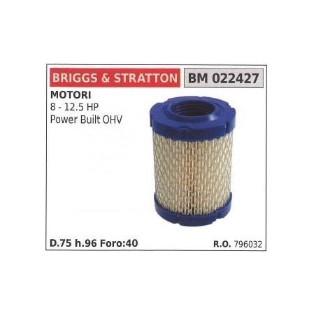 Filtro aria BRIGGS&STRATTON rasaerba tosaerba tagliaerba 8 12.5hp