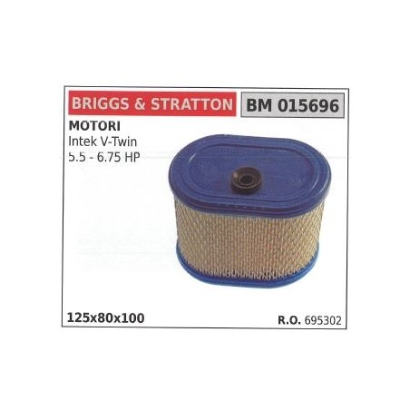 Filtro aria BRIGGS&STRATTON rasaerba tosaerba tagliaerba intek ELS V TWIN | NewgardenParts.com