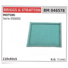 Filtro aria BRIGGS&STRATTON rasaerba tosaerba tagliaerba SERIE 050000 | NewgardenParts.com