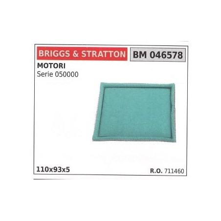 Filtro aria BRIGGS&STRATTON rasaerba tosaerba tagliaerba SERIE 050000 | NewgardenParts.com