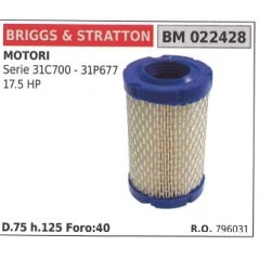 Filtro aria BRIGGS&STRATTON rasaerba tosaerba tagliaerba SERIE 31C700 | NewgardenParts.com