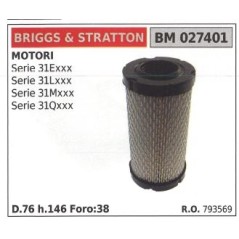 Filtro aria BRIGGS&STRATTON rasaerba tosaerba tagliaerba SERIE 31Exxx | NewgardenParts.com