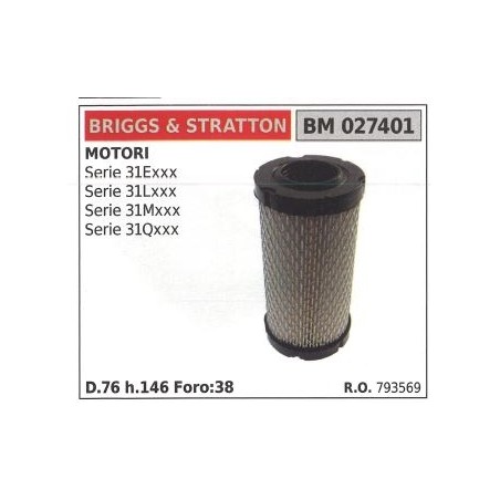 Filtro aria BRIGGS&STRATTON rasaerba tosaerba tagliaerba SERIE 31Exxx | NewgardenParts.com