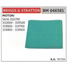 Filtro aria BRIGGS&STRATTON rasaerba tosaerba tagliaerba serie 31G700