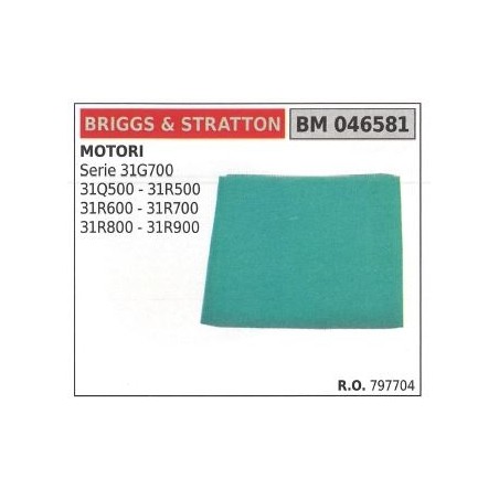 Filtro aria BRIGGS&STRATTON rasaerba tosaerba tagliaerba serie 31G700 | NewgardenParts.com