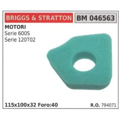 Filtro aria BRIGGS&STRATTON rasaerba tosaerba tagliaerba serie 600S 120T02 | NewgardenParts.com