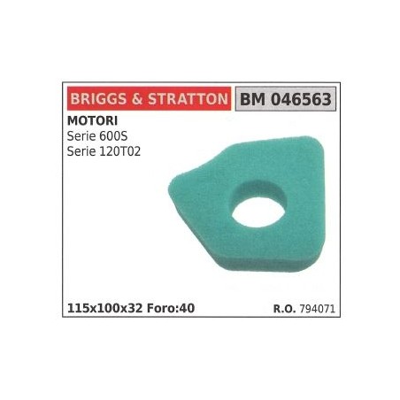 Filtro aria BRIGGS&STRATTON rasaerba tosaerba tagliaerba serie 600S 120T02 | NewgardenParts.com