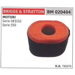 Air filter BRIGGS&STRATTON lawn mower mower SERIES 796970 550