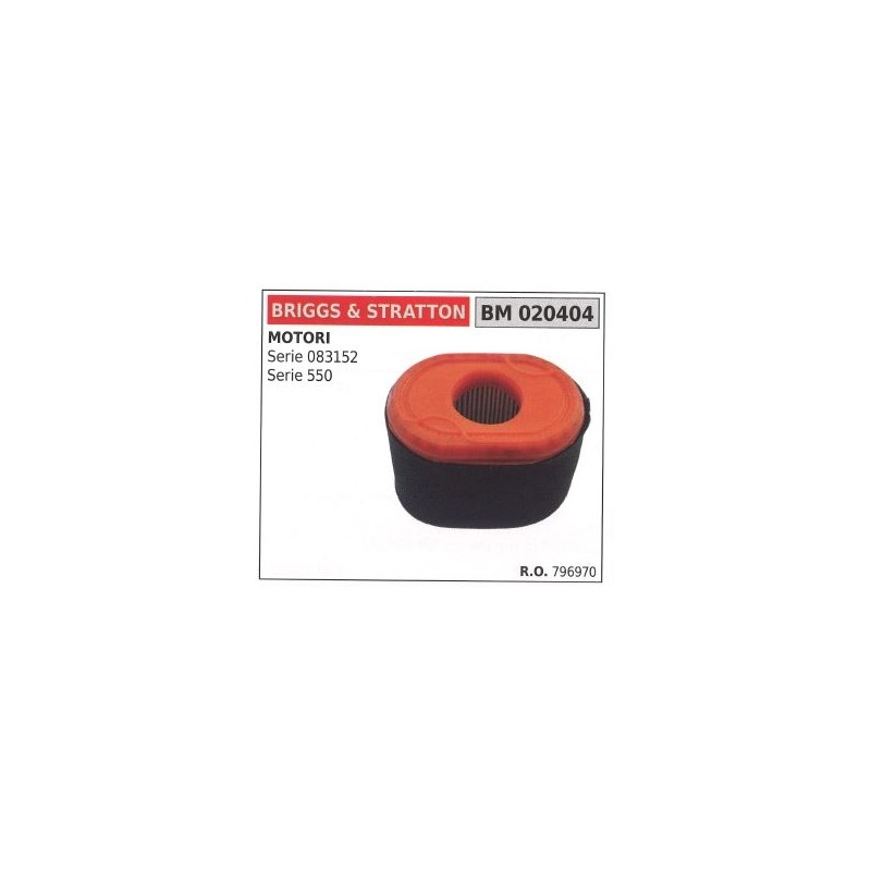 Luftfilter BRIGGS&STRATTON Rasenmäher mower SERIES 796970 550